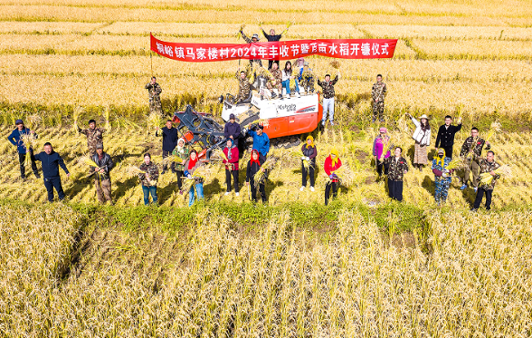 左权县桐峪镇：马家楼水稻试种成功 奠基千亩富裕路