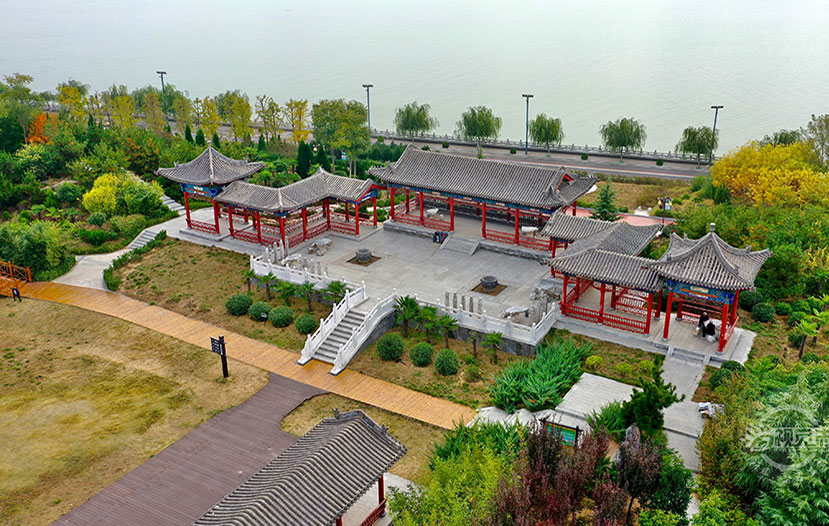 黄河岸畔 秋意盎然