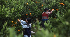 �S�ⲣ�~���צ�