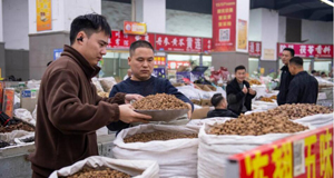 �w�����{�G�ĭ��|�����~��