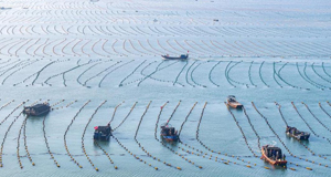 �a���G�j��������V�V����