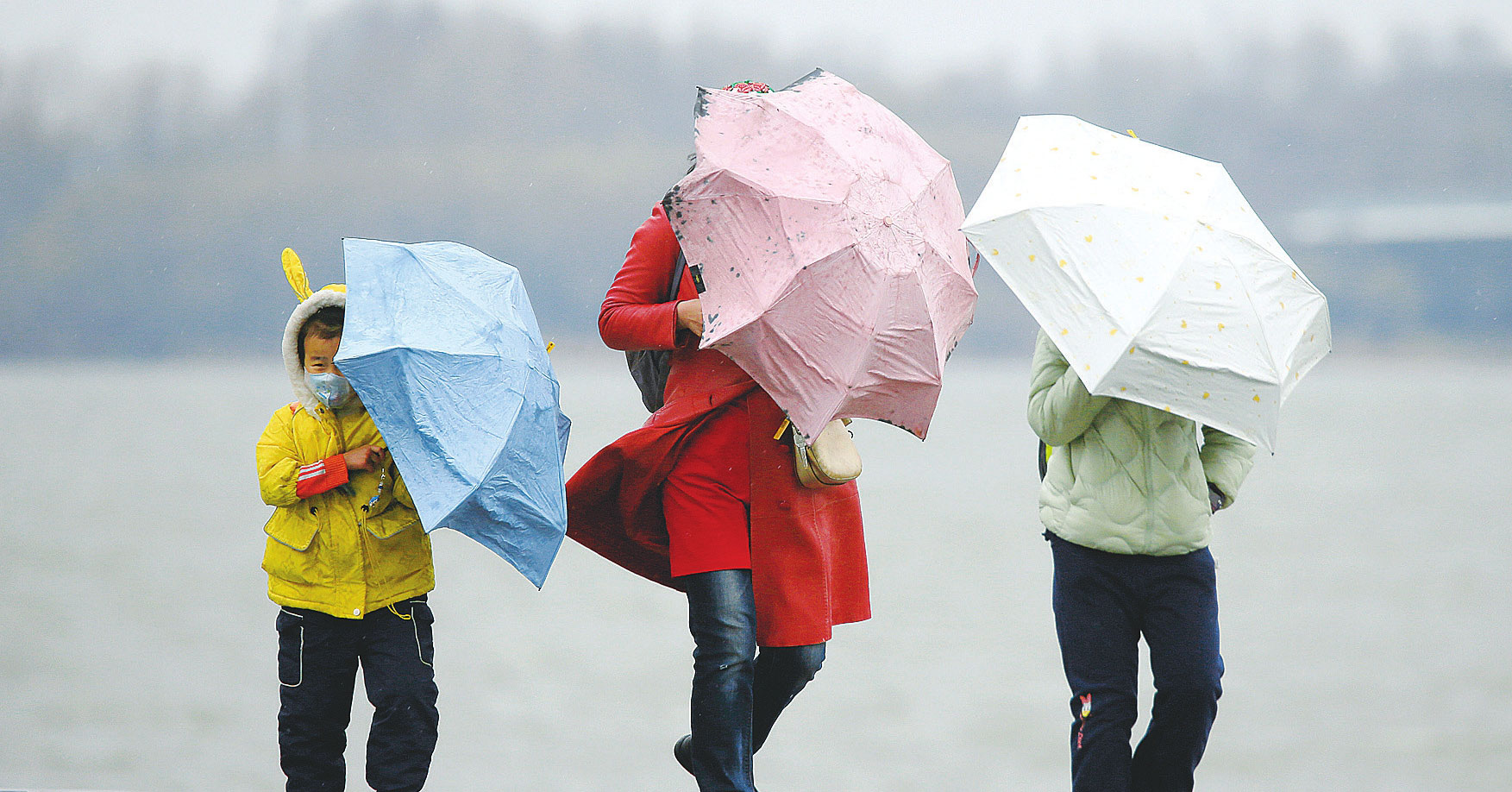 大风过境 多地全力战“风”保供