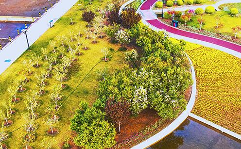 生态阳泉美如画