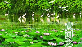 【海报】五一来山西 解锁“华北水塔”之美