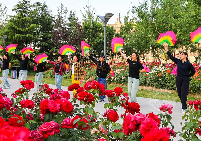 山西夏县：“口袋公园”市民好去处 