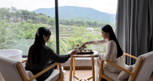 绿水青山飘茶香