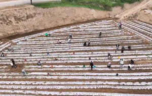 奏响“红”与“绿”交响曲