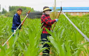 夏县：节水农业助农增收