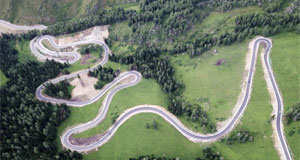 大道通进夏牧场