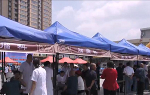 银针草药送健康