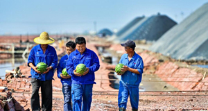 多措并举 应对高温