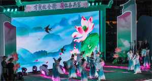 “莲子之乡”举办夏日荷花节