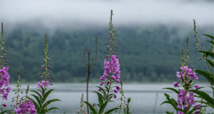 ���������QĬ���l��