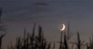 夜空上演火星伴月