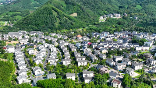 杭州径山村的绿色新活力