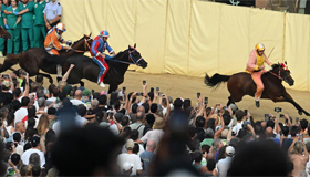 意大利锡耶纳：节日赛马