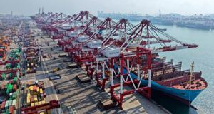 青岛港外贸航线数量持续增加