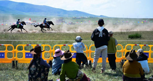 青海湖畔的草原盛会