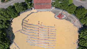 抢抓晴好天气 晾晒粮食作物