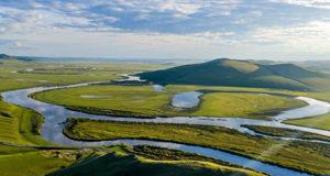 湿地风光美如画