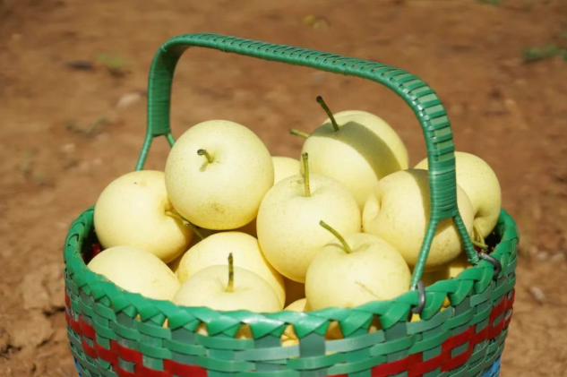 �Ϋ����G���𵲥X�����e�P�I�G��