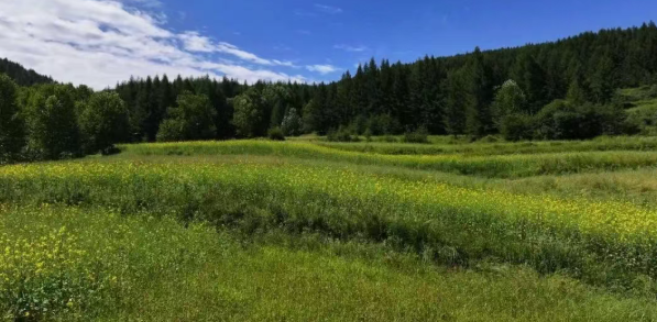 �������s�}�U���p��h��